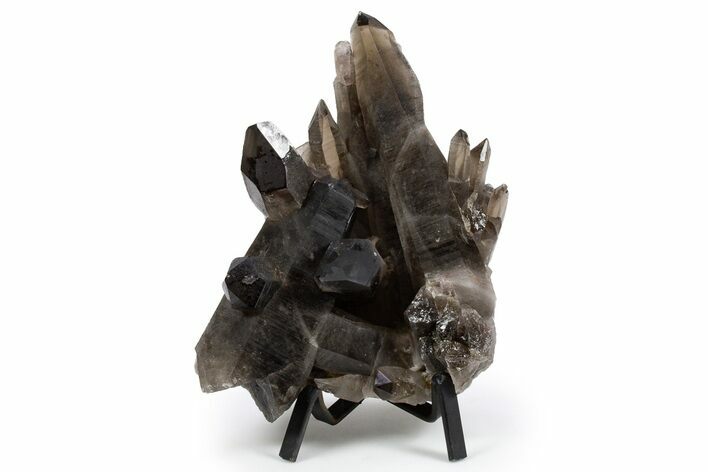 Dark Smoky Quartz Crystal Cluster on Metal Stand - Brazil #300620